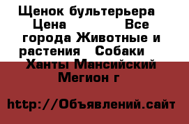 Щенок бультерьера › Цена ­ 35 000 - Все города Животные и растения » Собаки   . Ханты-Мансийский,Мегион г.